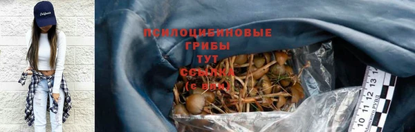 PSILOCYBIN Наволоки