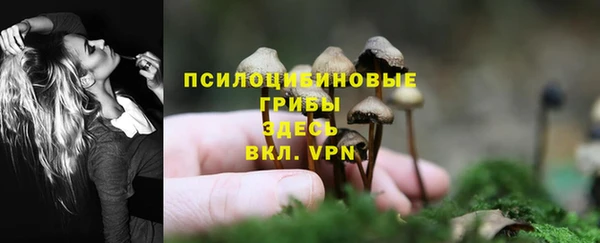 мдпв Михайловка