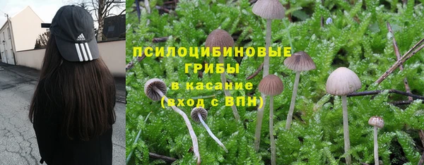 мдпв Михайловск