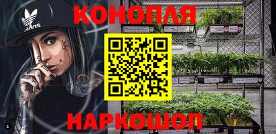 ГАЛЛЮЦИНОГЕННЫЕ ГРИБЫ Беслан