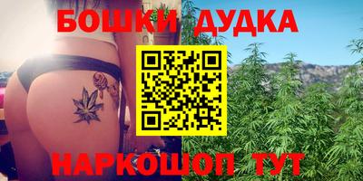 ГАЛЛЮЦИНОГЕННЫЕ ГРИБЫ Беслан