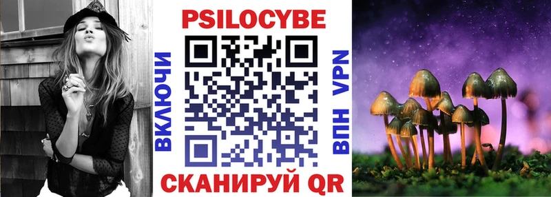 Галлюциногенные грибы Psilocybine cubensis  OMG вход  Черняховск 