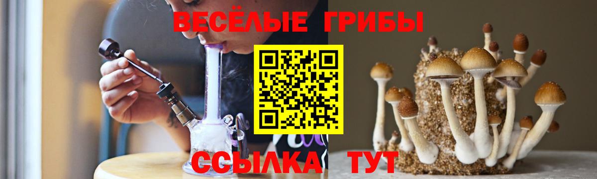 Псилоцибиновые грибы Psilocybine cubensis  Вход с VPN  Черняховск 